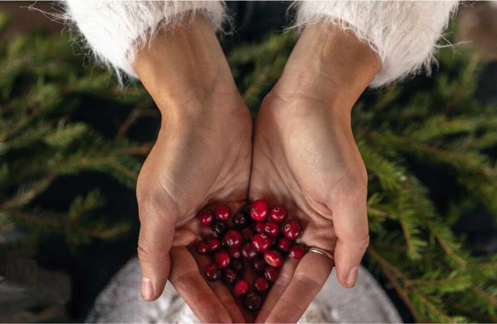 Prirodno liječenje urinarnih infekcija Prirodno lijecenje urinarnih infekcija