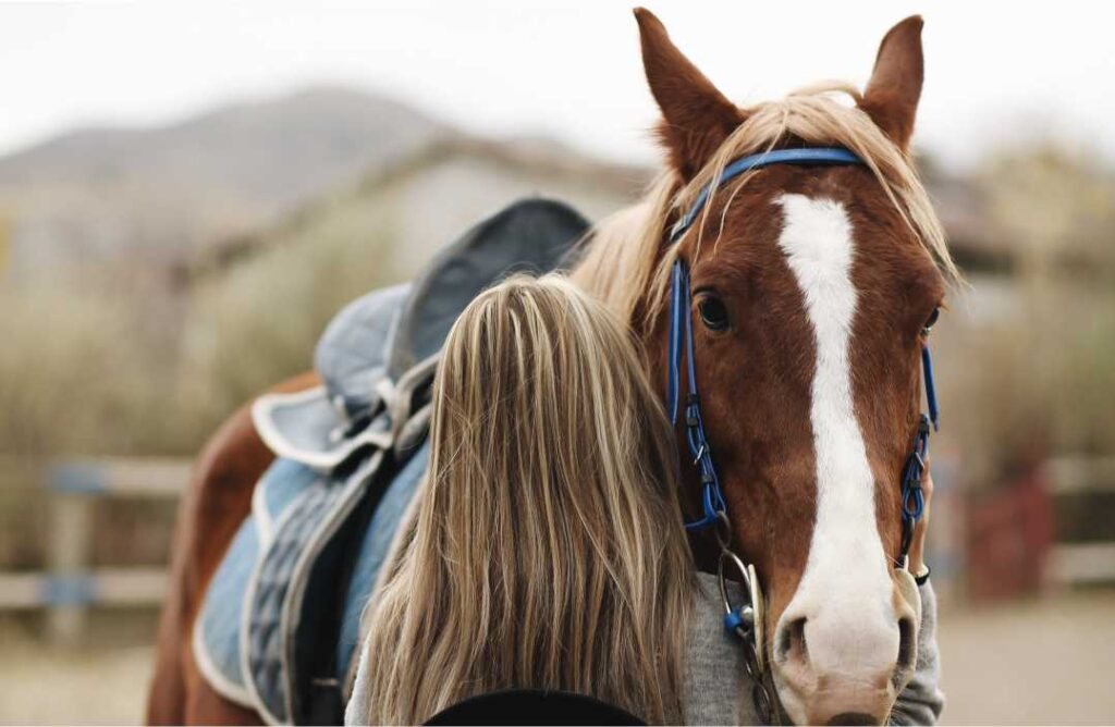 kako nas konji uce mindfulnessu