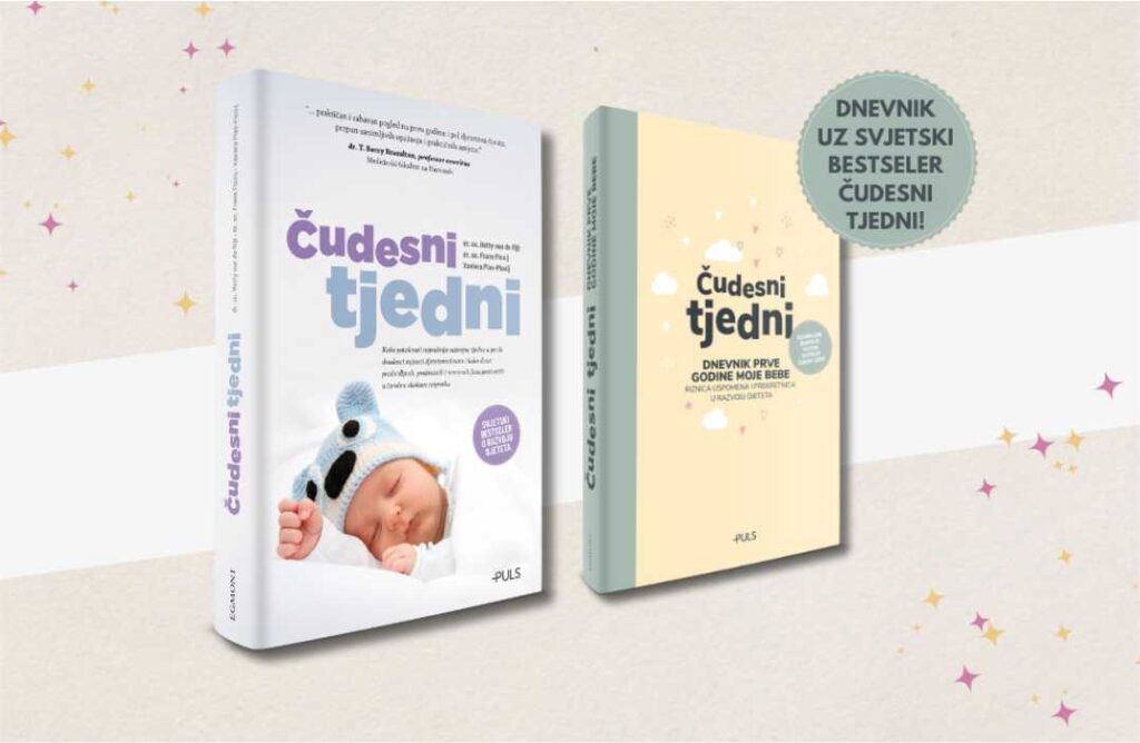 Dnevnik prve godine moje bebe