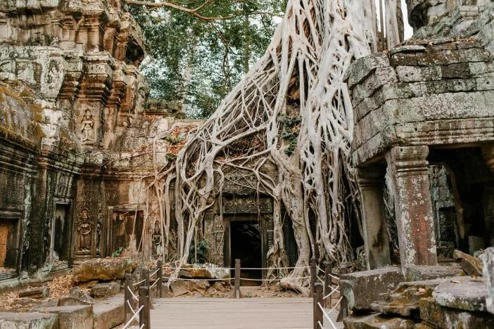 Ta Prohm, Kambodza