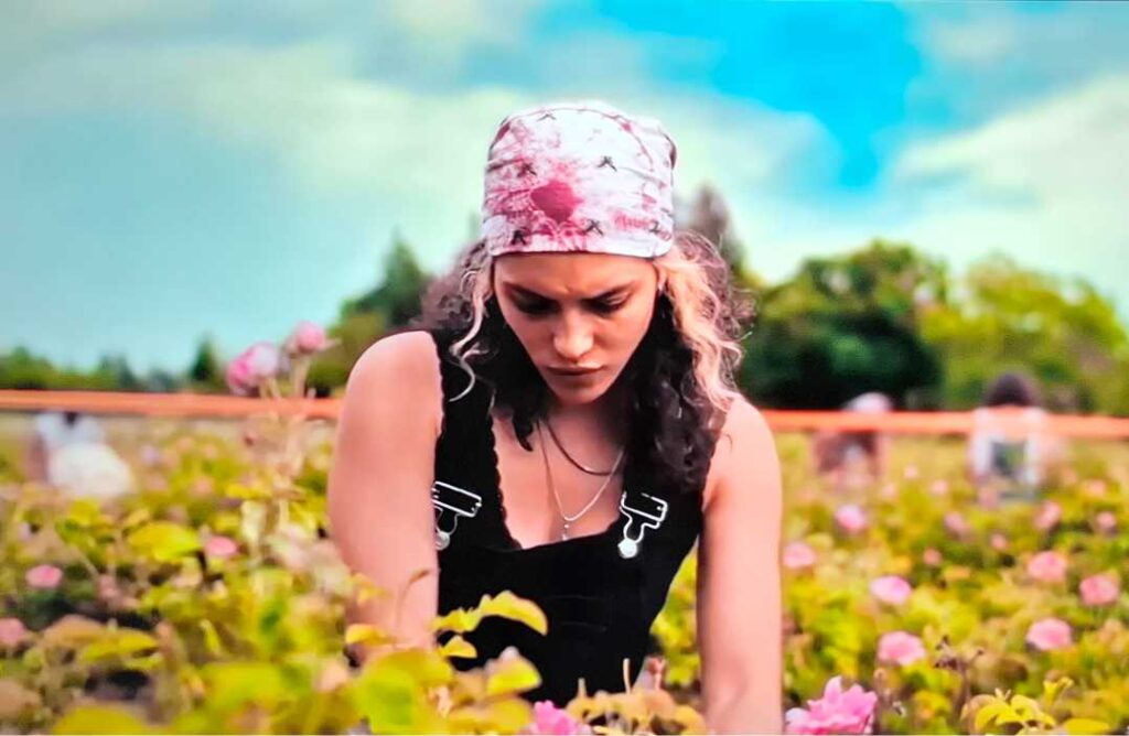 Mjesto pod tamnim suncem – recenzija francuske Netflix serije koja miriše na ruže i laži Netflix serija Mjesto pod tamnim suncem recenzija