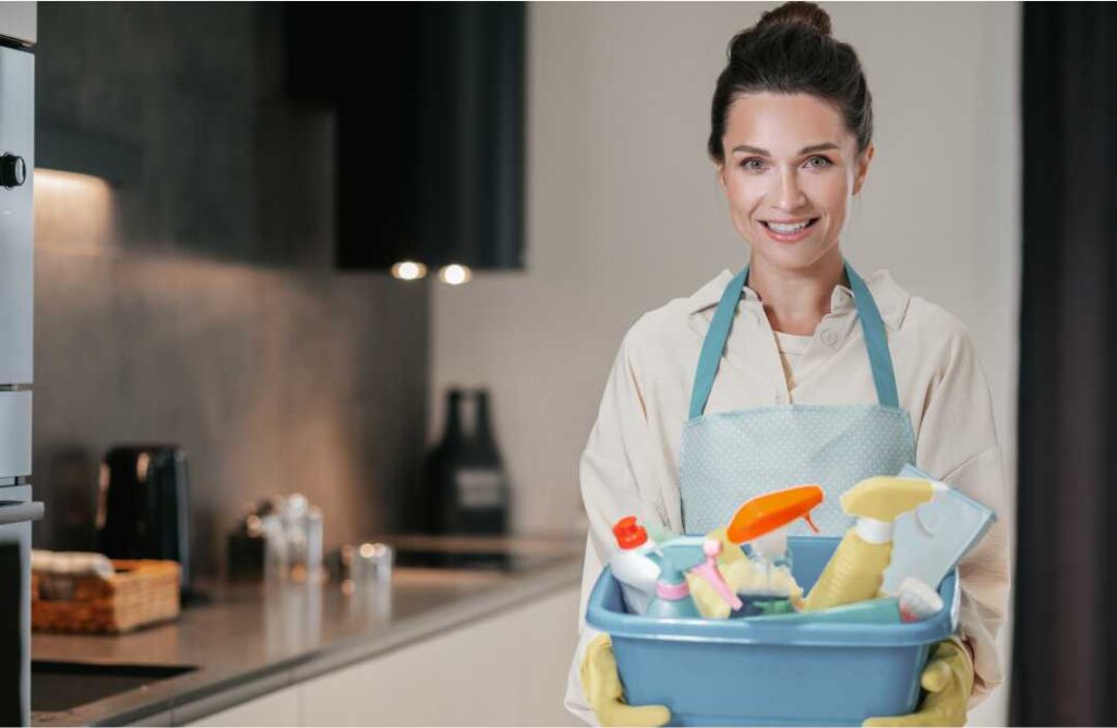 Spremacica za predbozicno ciscenje doma