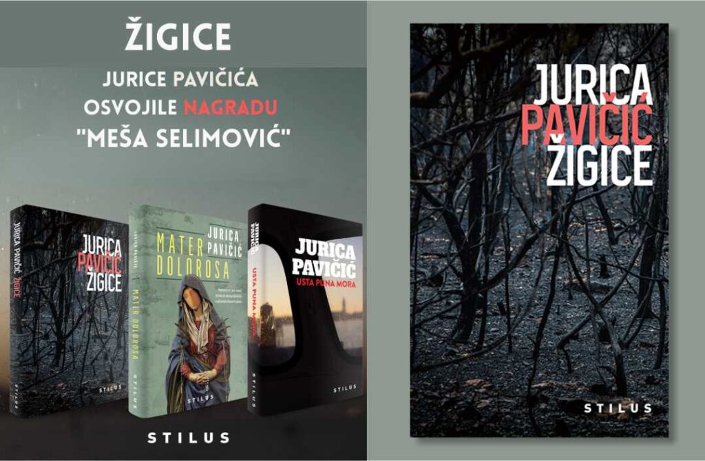 Roman Zigice dobitnik nagrade Mesa Selimovic