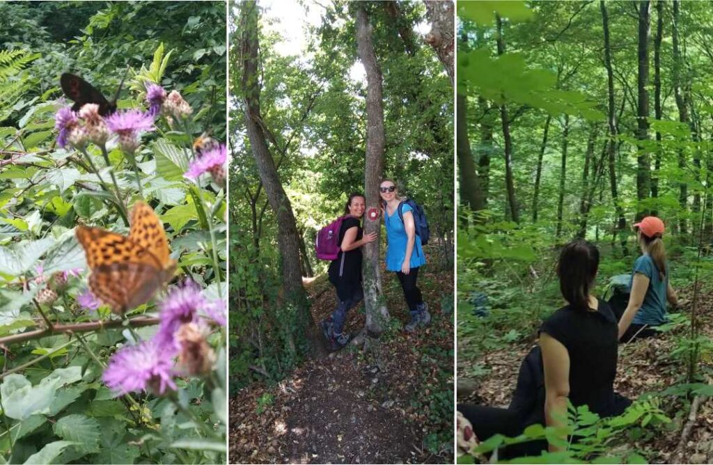 medicinski wellness Radoboj