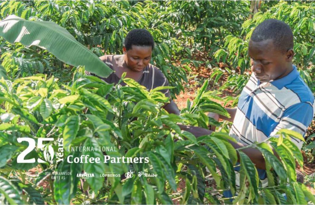International Coffee Partners