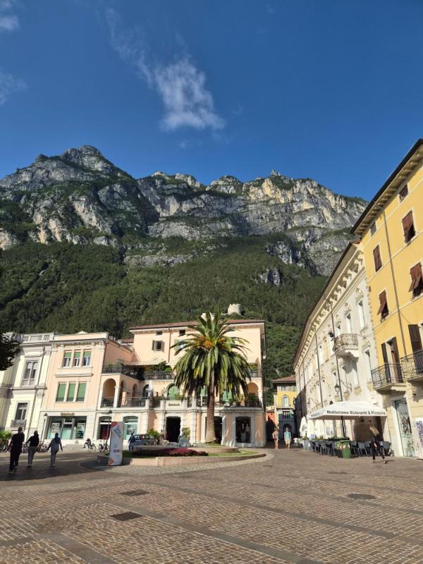 Popločani gradski trg u mjestu Riva del Garda s palminim stablom, šarenim zgradama i impozantnim strmim alpskim stijenama u pozadini.