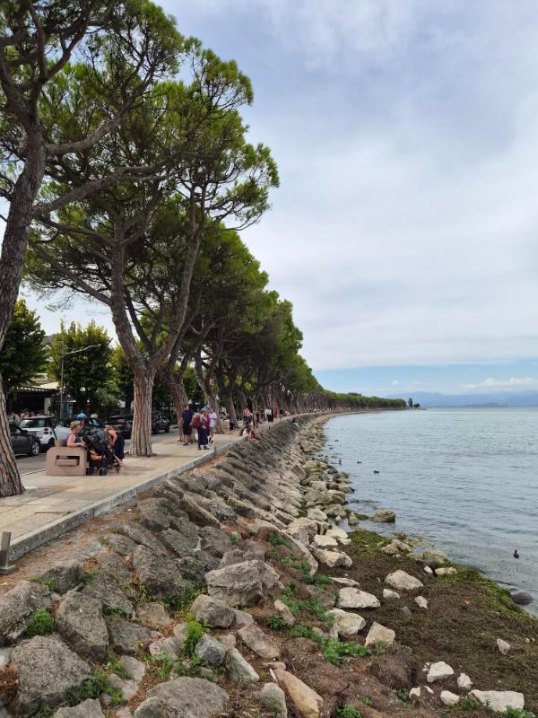 Jezero Garda što posjetiti – uređenje i šetnica uz jezero s drvoredom u Peschieri del Garda.