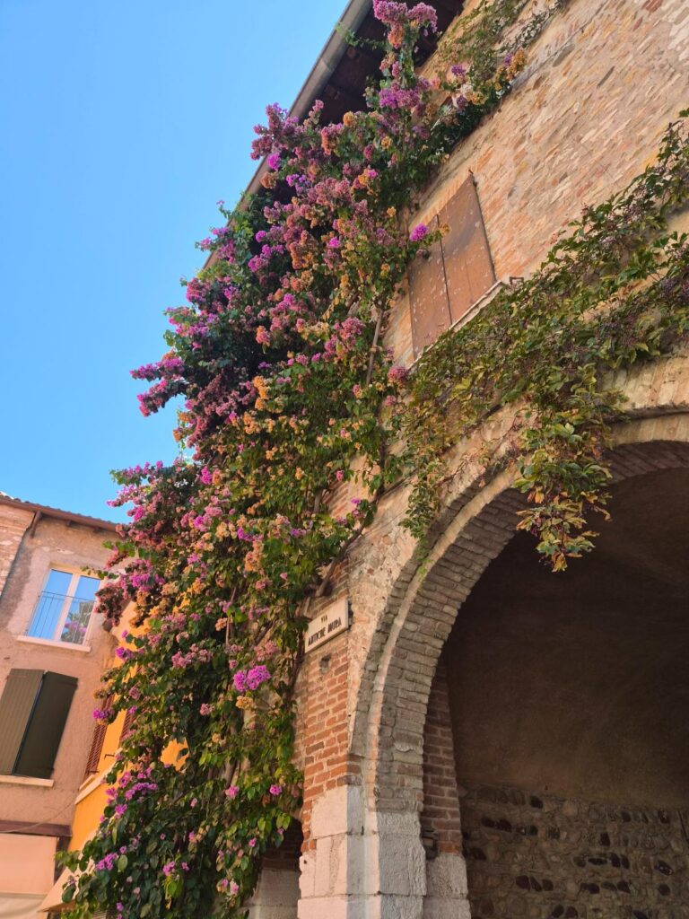 Sirmione, starinski kameni luk i fasada zgrade ukrašeni rascvjetanom ljubičastom i ružičastom bugenvilijom.